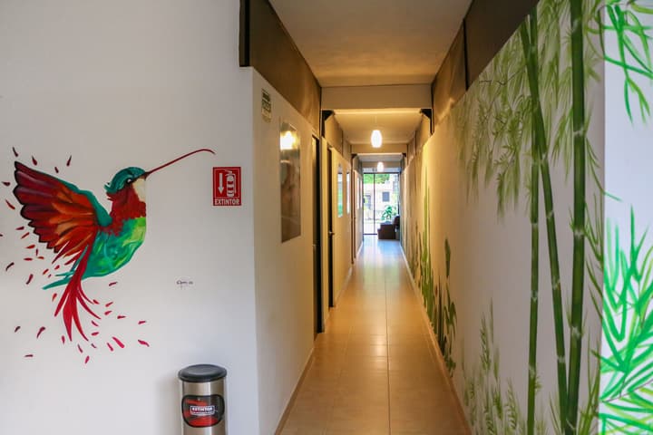 Hostal Gayser - Hostel