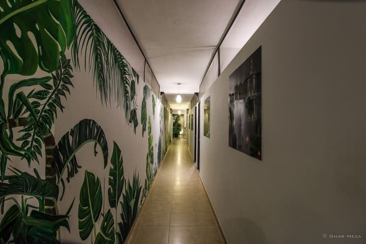 Hostal Gayser - Hostel