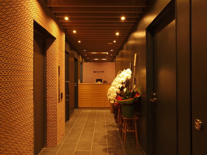 HOTEL AMANEK Ginza East