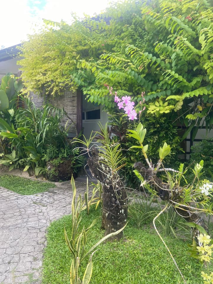 Vivo Inn