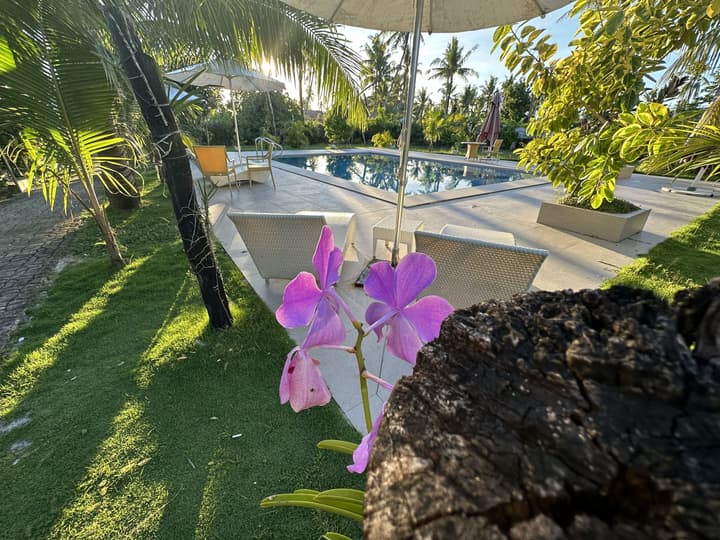 Vivo Inn