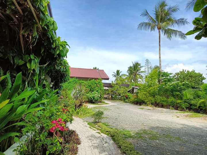 Vivo Inn
