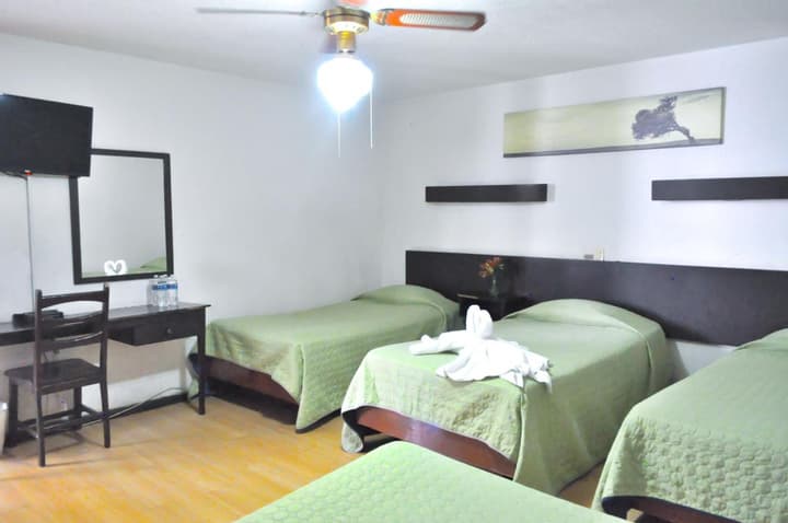 Hotel Trevi