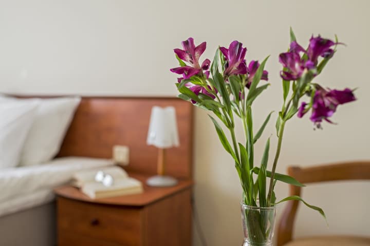 Best Baltic Kaunas Hotel