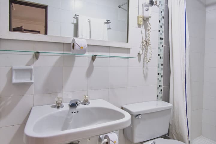 Hotel Virrey Central