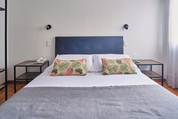 Hotel Virrey Central