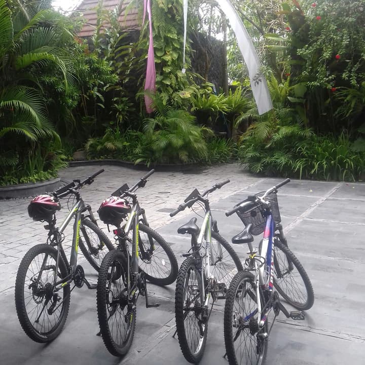 The Bali Dream Villa Canggu