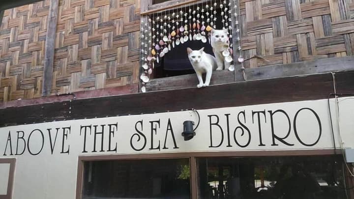 Above the Sea Guesthouse