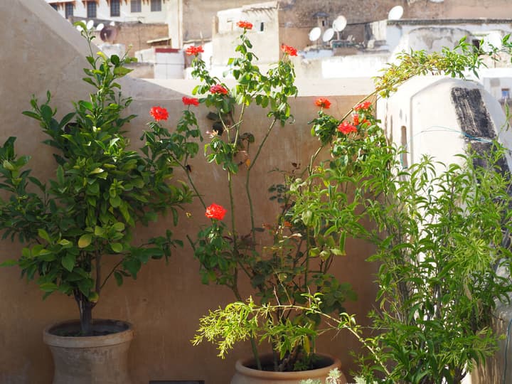 Dar Attajalli