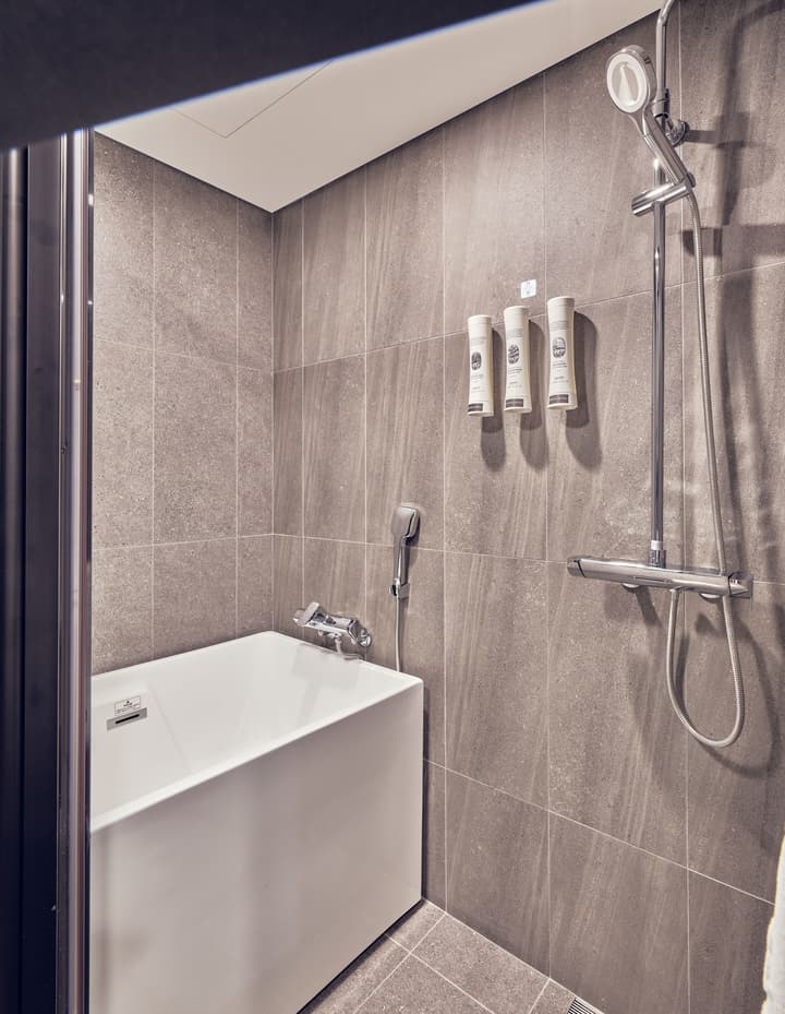 Sotetsu Hotels The Splaisir Seoul Myeongdong