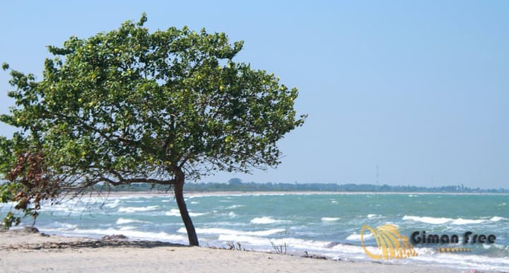 Giman Beach Resort