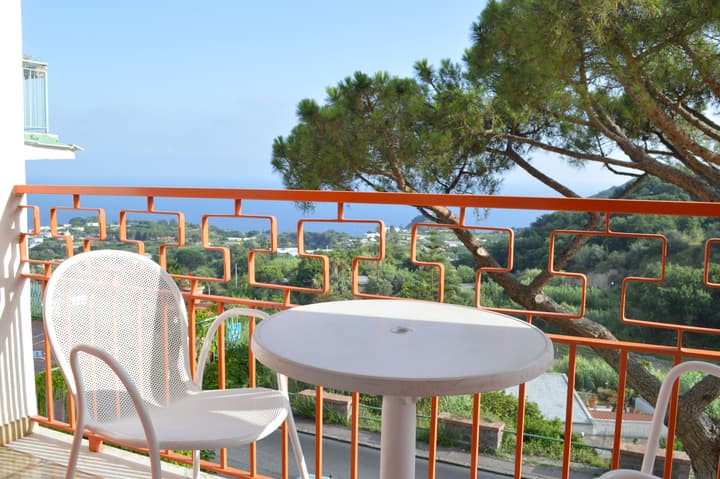 Hotel Polito