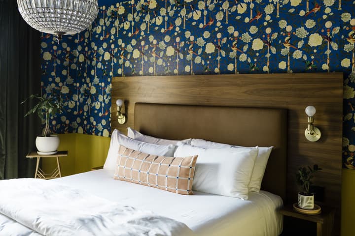 The Frances Modern Inn
