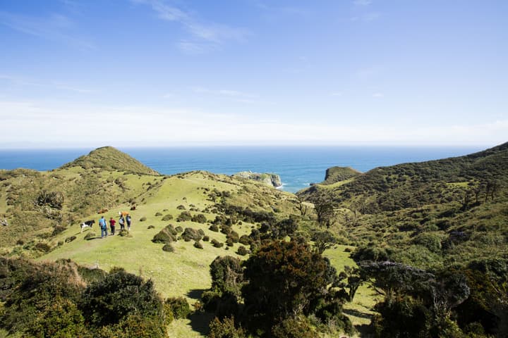 Refugia Chiloé