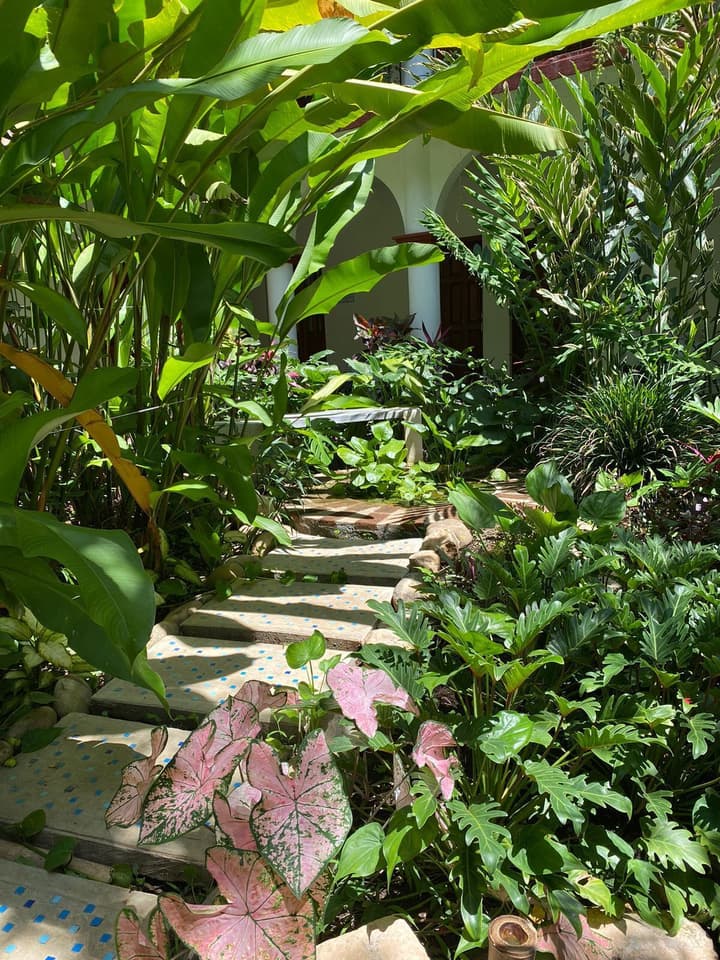 La Ceiba Hotel Spa