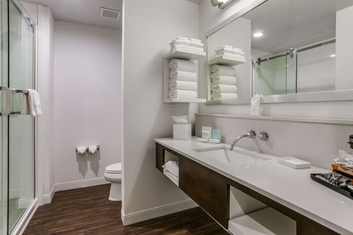 Hampton Inn & Suites North Dallas Central Expy