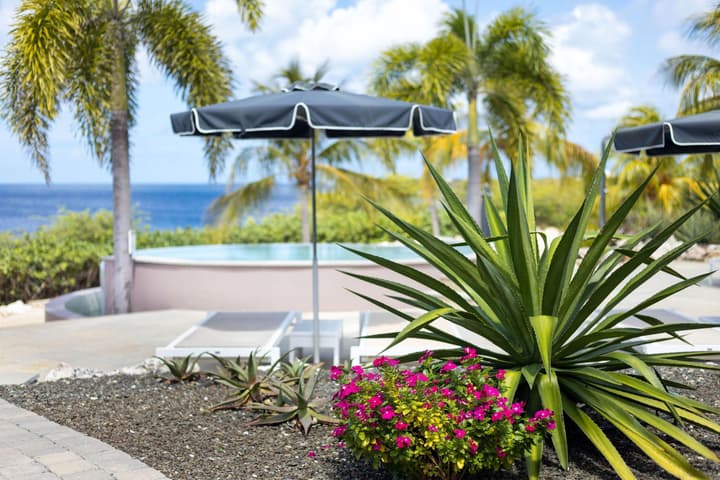 Coral Estate Luxury Resort