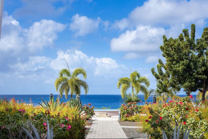 Coral Estate Luxury Resort