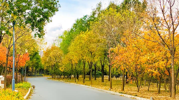 Holiday Inn Beijing Shijingshan Parkview by IHG