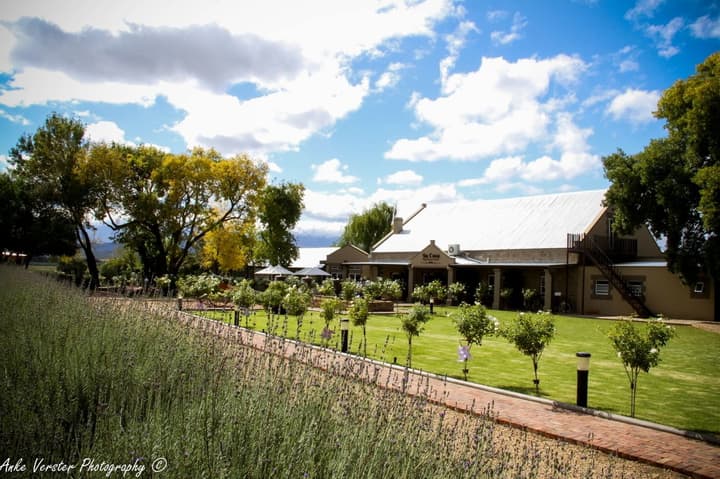 Surval Boutique Olive Estate