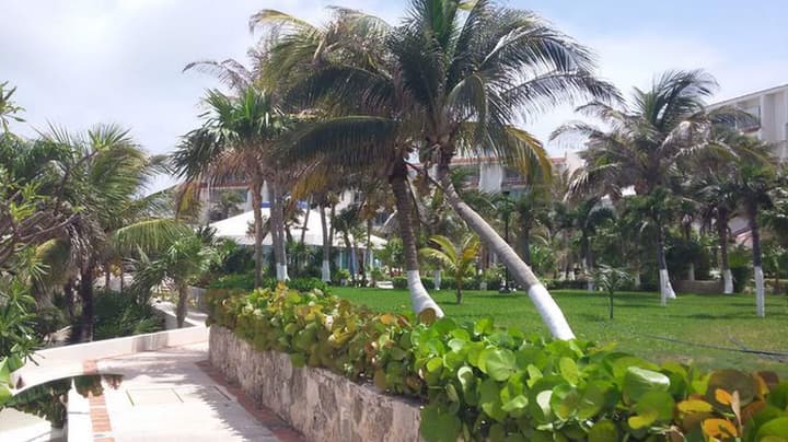 Solymar Condo by Casago