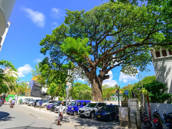 Noomoo Hulhumale