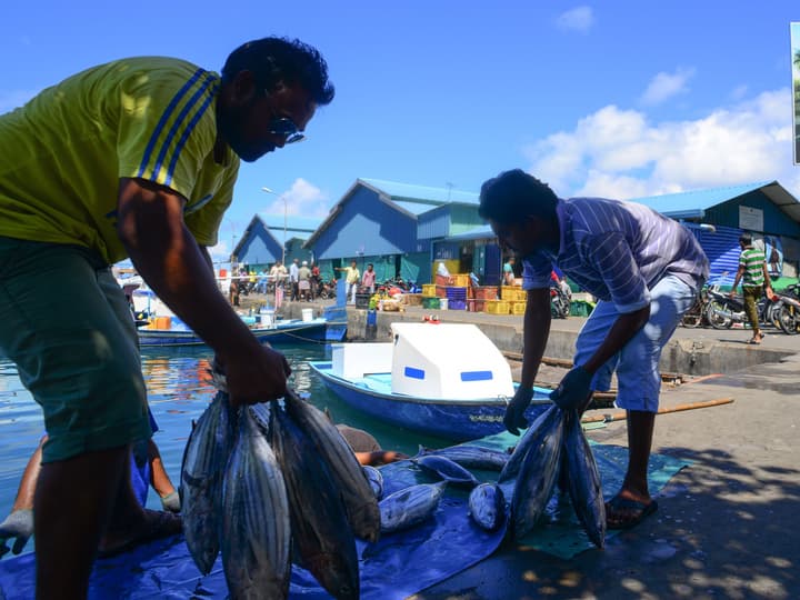 Noomoo Hulhumale