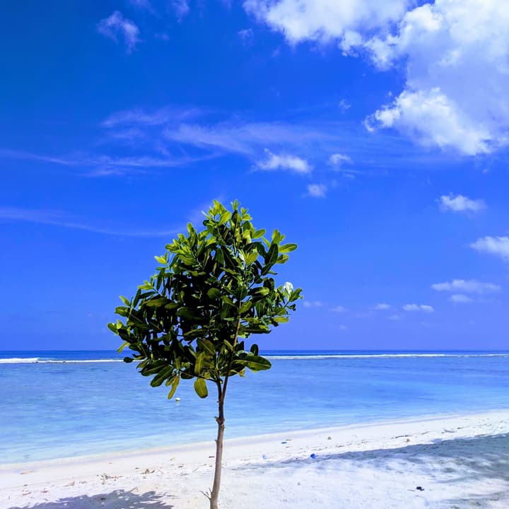 Noomoo Hulhumale