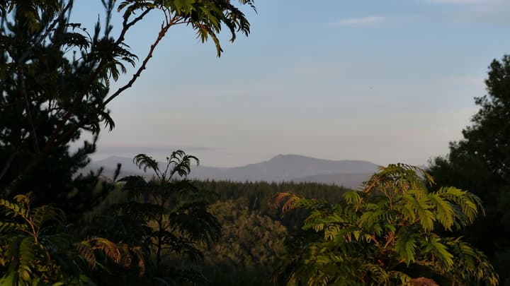Woodlands Self Catering, Knysna