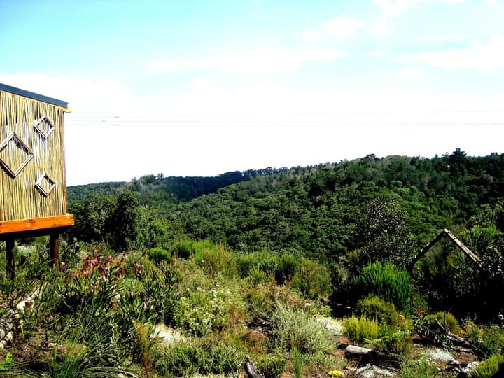 Woodlands Self Catering, Knysna
