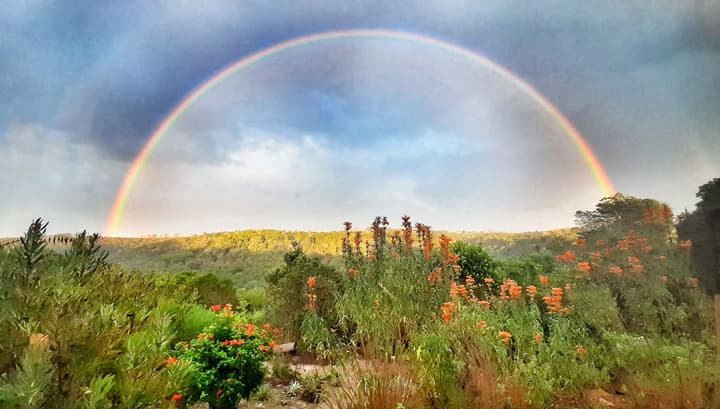 Woodlands Self Catering, Knysna