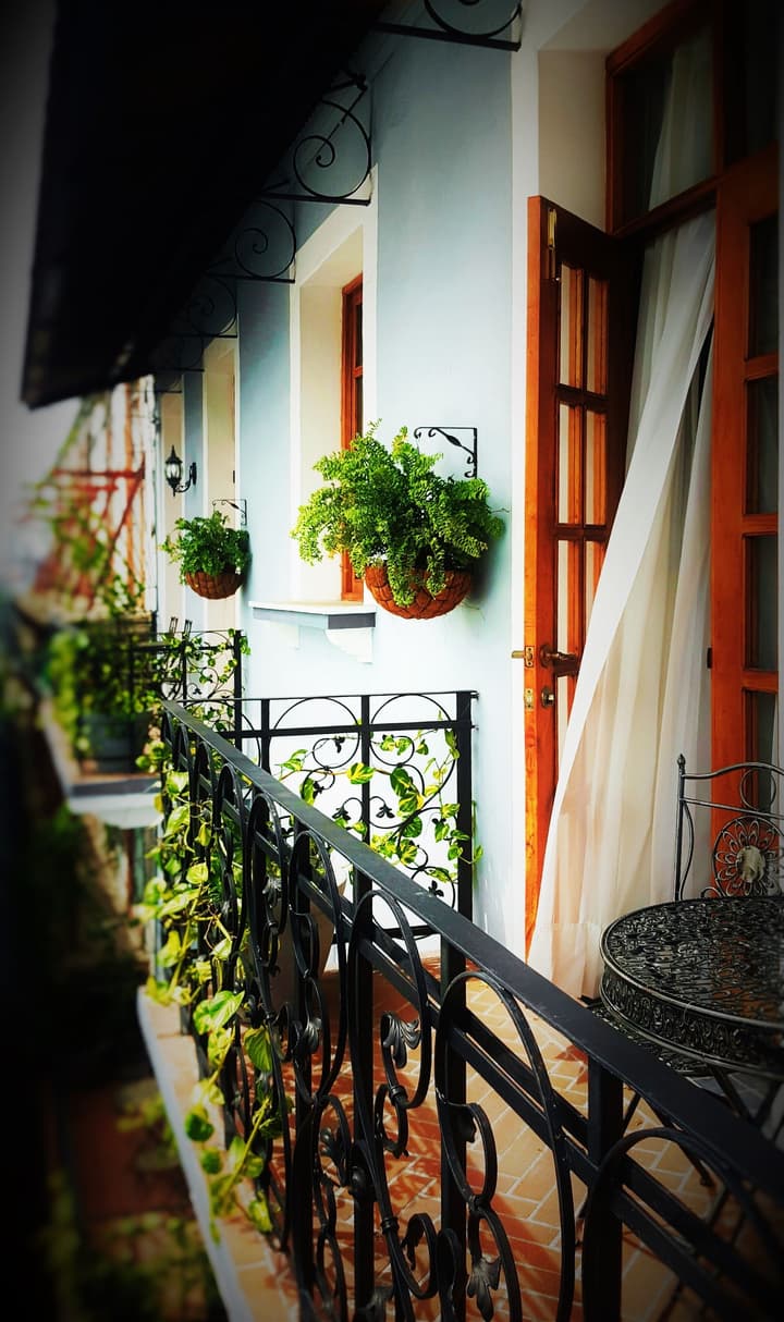 La Isabela Suites