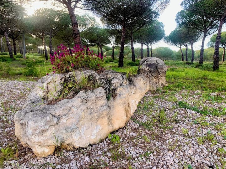 Parque de Campismo Orbitur Sitava Milfontes