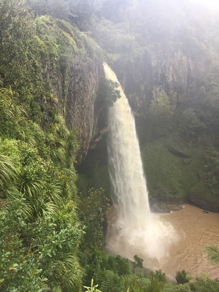 Waitomo Caves Guest Lodge