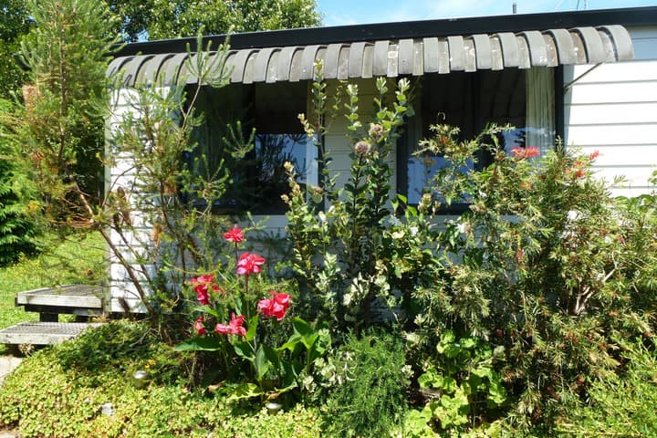 Waitomo Caves Guest Lodge
