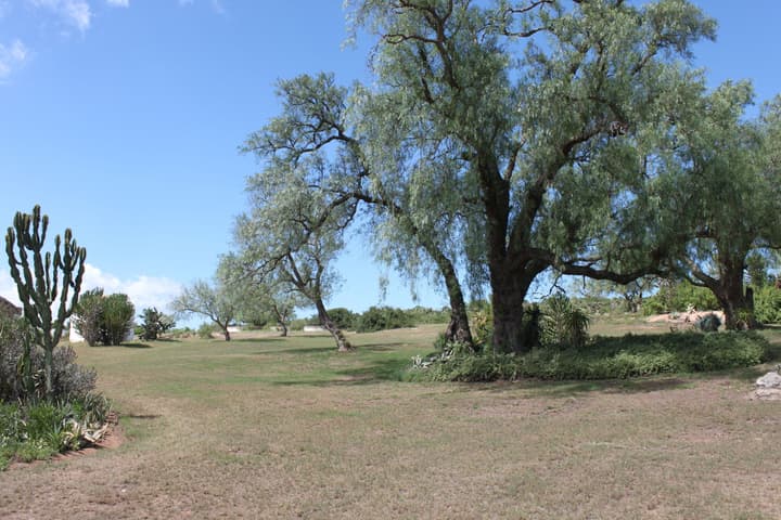 Leeuwenbosch Shearers Lodge