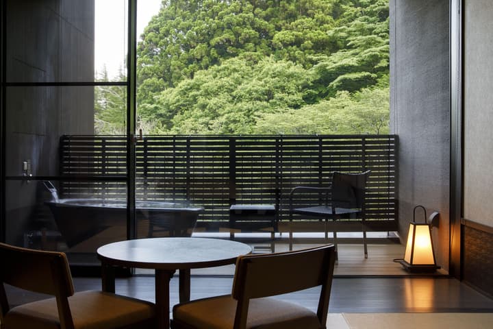 Hakone Kowakien TEN-YU