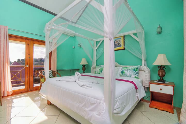 Tropical Paradise View