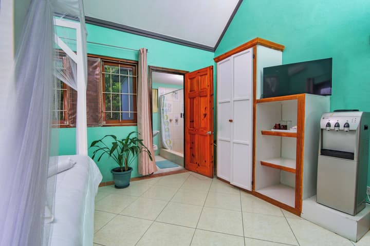 Tropical Paradise View