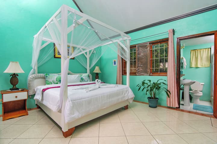 Tropical Paradise View