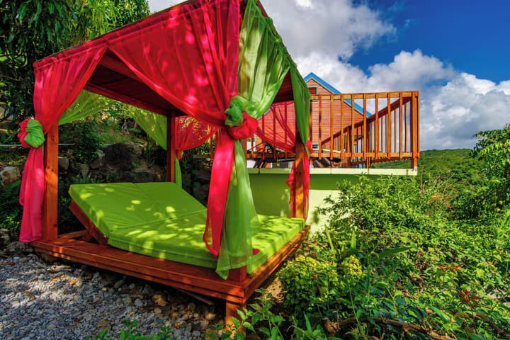 Tropical Paradise View