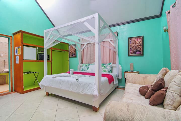 Tropical Paradise View