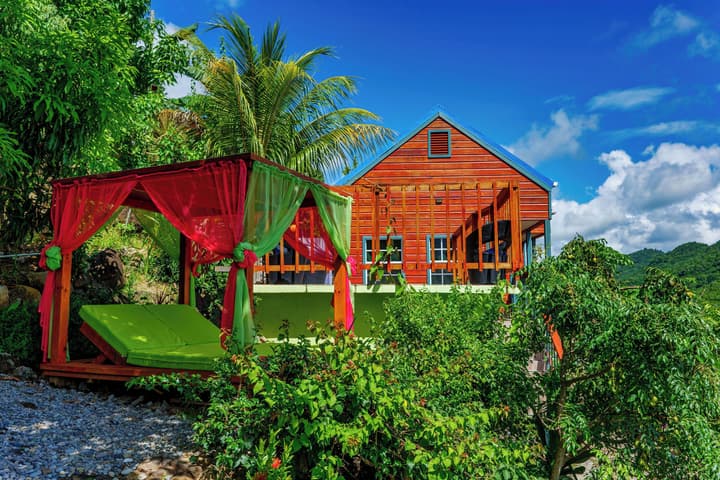 Tropical Paradise View