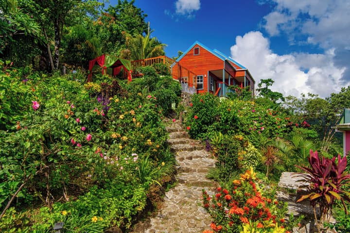 Tropical Paradise View
