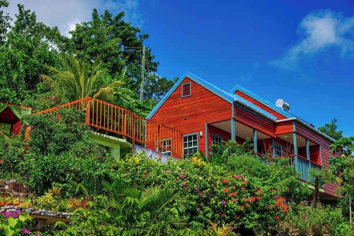 Tropical Paradise View