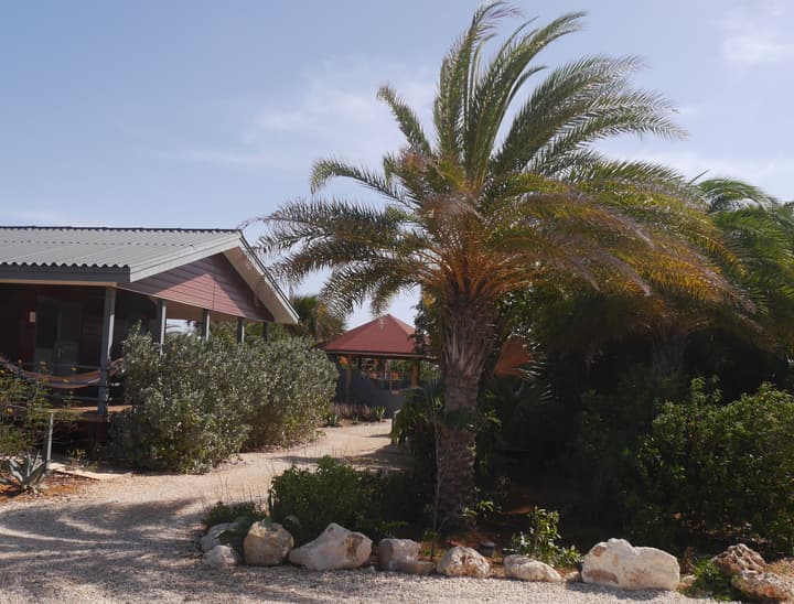 Red Palm Village