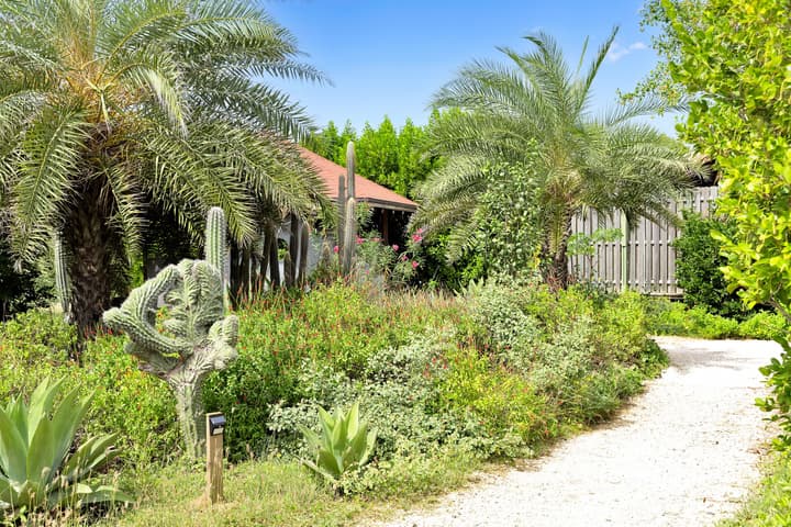 Red Palm Village