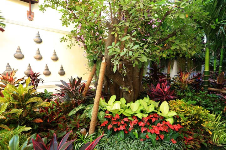 Viangluang Resort