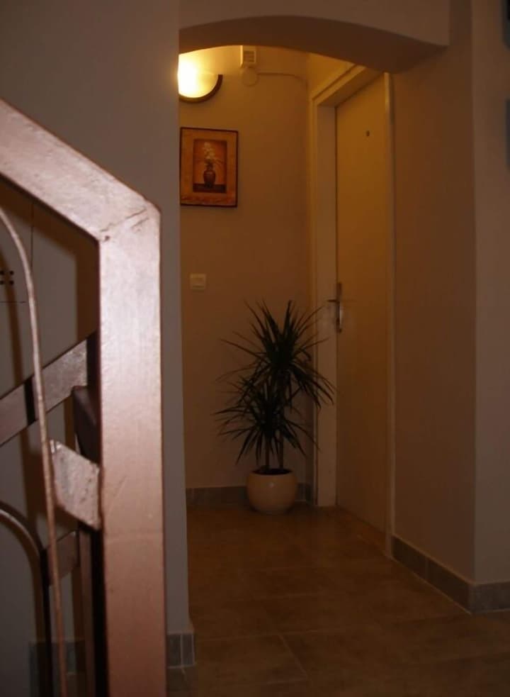 Carol Rooms