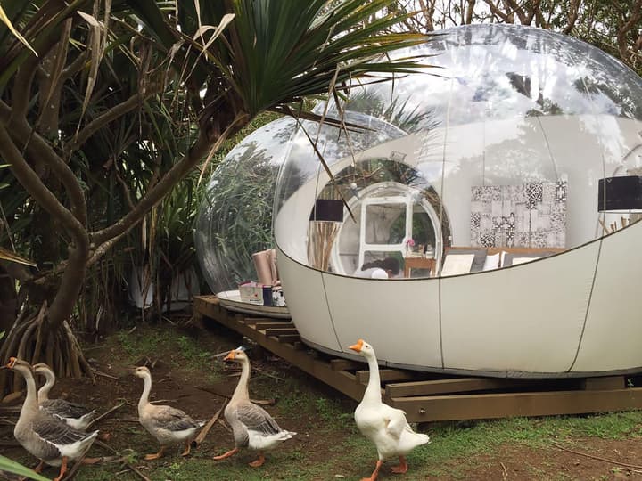 Bubble Lodge Bois Chéri